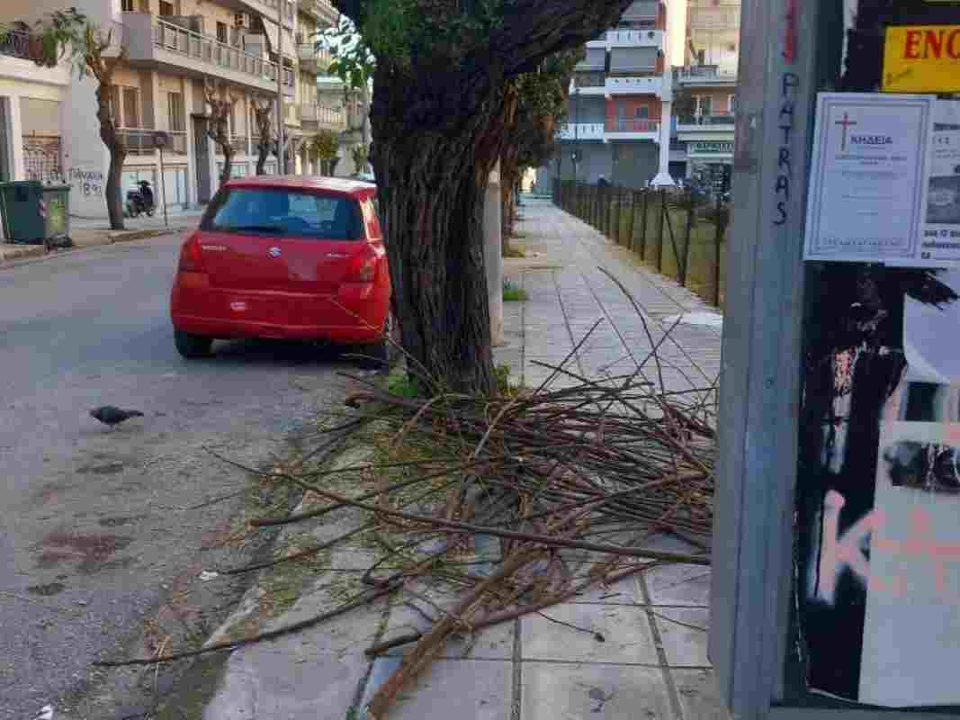 Αφαίρεση κάδου, Removal of trash bin, Στάση λεωφορείου, Bus stop, Σκουπίδια στάση, Bus stop garbage, Απόστολος Παύλος, Apostolos Pavlos, Έλλειψη κάδων, Lack of bins, Κακή καθαριότητα, Poor sanitation, Πεταμένα σκουπίδια, Littering, Κοπή δέντρων, Tree cutting, Κλαδιά πεζοδρόμιο, Branches on sidewalk, Απροσπέλαστο πεζοδρόμιο, Impassable sidewalk, Κίνδυνος πεζών, Pedestrian danger, Εμπόδια πεζοδρόμιο, Sidewalk obstacles, Έργα καθαριότητας, Cleaning works, Υποβάθμιση δημόσιου χώρου, Public space degradation, Τοπική αυτοδιοίκηση, Local government, Καταγγελία πολιτών, Citizen complaint, Θέματα πόλης, City issues, SEO Ελλάδα, Greece SEO, Ειδήσεις τοπικές,