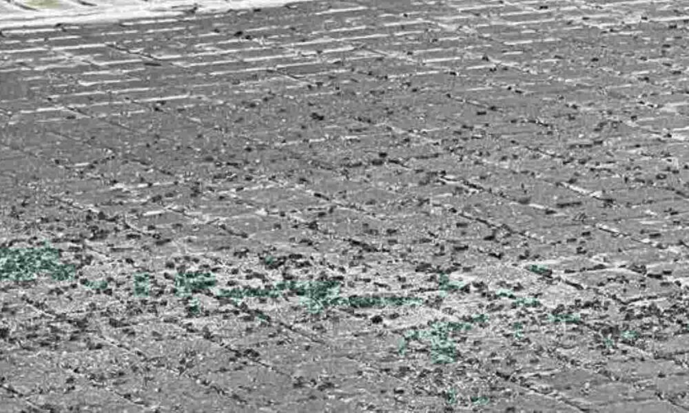 Πάτρα τζάμι, πτώση τζάμι 5ος όροφος, ισχυροί άνεμοι Πάτρα, Patras glass fall, strong winds Patras accident, Agiou Nikolaou Patras incident, κέντρο Πάτρας ατύχημα, balcony glass collapse Patras