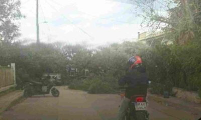 Καστελόκαμπος, Πάτρα, πτώση δέντρου, οδός Διγενή Ακρίτα, τροχαίο ατύχημα, κακοκαιρία, θυελλώδεις άνεμοι, απεγκλωβισμός, ειδήσεις Πάτρα, Kastelokampos, Patras, tree fall, Digeni Akrita street, car accident, severe weather, gale force winds, Patras news, emergency Greece