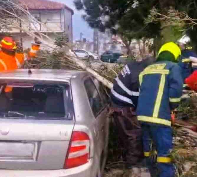Ρίο Αχαΐας, Rio Patras, πτώση δέντρου, fallen tree, κακοκαιρία Πάτρα, Patras storm, θυελλώδεις άνεμοι, strong winds, Πανεπιστημιακό Νοσοκομείο Ρίου, Rio University Hospital, Πολιτική Προστασία Αχαΐας, Civil Protection Achaia, Φωκίων Ζαΐμης, Fokion Zaimis, Πυροσβεστική Πάτρα, Patras Fire Service, Περιφέρεια Δυτικής Ελλάδας, Region of Western Greece, ζημιές σε αυτοκίνητο, car damage, καταστροφές από αέρα,