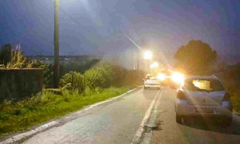 Πάτρα, Βελβίτσι, Τόφαλος, τροχαίο Πάτρα, ειδήσεις Πάτρα, πτώση δέντρου, θυελλώδεις άνεμοι, Πυροσβεστική, κυκλοφοριακό κομφούζιο, Patras, Velvitsi, Tofalos, Patras news, car accident Patras, fallen tree, storm damages, traffic alert Patras, Fire Department Greece, road closure