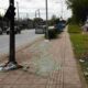 Τραγικό τροχαίο Πάτρα, Fatal car accident Patras, Παραλία Πατρών, Paralia Patras, Νίκος και Αγγελική, Nikos and Angeliki, Αγγελική Δρίβα, Angeliki Driva, τροχαίο δυστύχημα Πάτρα, deadly crash Patras, θάνατος νέων Πάτρα, youth death Patras, ειδήσεις Πάτρα, Patras news, Τροχαία Πατρών, Patras traffic police, ΕΚΑΒ Πάτρα, Patras ambulance service, πένθος Πάτρα, Patras mourning, θύματα τροχαίου,