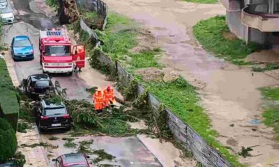 Αγυιά, Πάτρα, κακοκαιρία, ανεμοστρόβιλος, πτώσεις δένδρων, Πυροσβεστική, οδός Ευρώτα, έντονα φαινόμενα, μπουρίνι, ζημιές, χάος, καθαρισμός, 10 λεπτά, σύντομη διάρκεια, μεγάλη ένταση, Patras, Agyia, bad weather, storm, tornado, fallen trees, Fire Service, Evrota street, extreme weather, Greek news, destructive wind, damage, clean-up operations, immediate response, short duration, high intensity