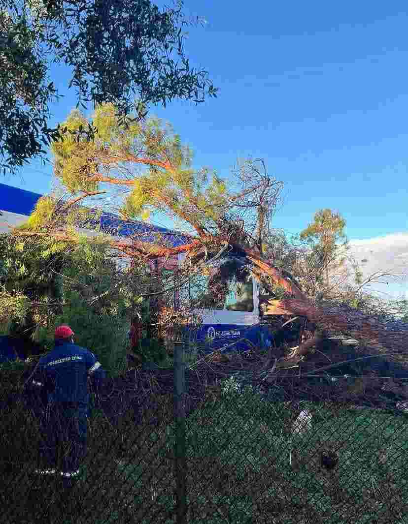 Πύργος, Κατάκολο, τρένο, ατύχημα, μηχανοδηγός, πτώση δέντρου, Ηλεία, σιδηρόδρομος, τραυματισμός, Πυροσβεστική, ειδήσεις τώρα, αμαξοστοιχία, Άγιος Κωνσταντίνος, ΟΣΕ, Hellenic Train, Pyrgos, Katakolo, train accident, train driver, tree fall, Ilia Greece, railway accident, injured driver, fire department Greece, breaking news, railway safety, locomotive damage,