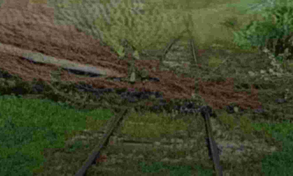 Προαστιακός Πάτρας, πτώση δένδρου, σιδηροδρομική γραμμή, Πειραϊκή Πατραϊκή, διακοπή δρομολογίων, γερανός, προβλήματα Προαστιακού, δυνατός άνεμος, καθυστέρηση τρένων, Σιδηρόδρομος Πάτρας, Patras Suburban Railway, tree fall, rail line, Piraiki Patraiki, service disruption, crane, railway problems, strong wind, train delay, Patras train