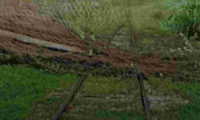 Προαστιακός Πάτρας, πτώση δένδρου, σιδηροδρομική γραμμή, Πειραϊκή Πατραϊκή, διακοπή δρομολογίων, γερανός, προβλήματα Προαστιακού, δυνατός άνεμος, καθυστέρηση τρένων, Σιδηρόδρομος Πάτρας, Patras Suburban Railway, tree fall, rail line, Piraiki Patraiki, service disruption, crane, railway problems, strong wind, train delay, Patras train