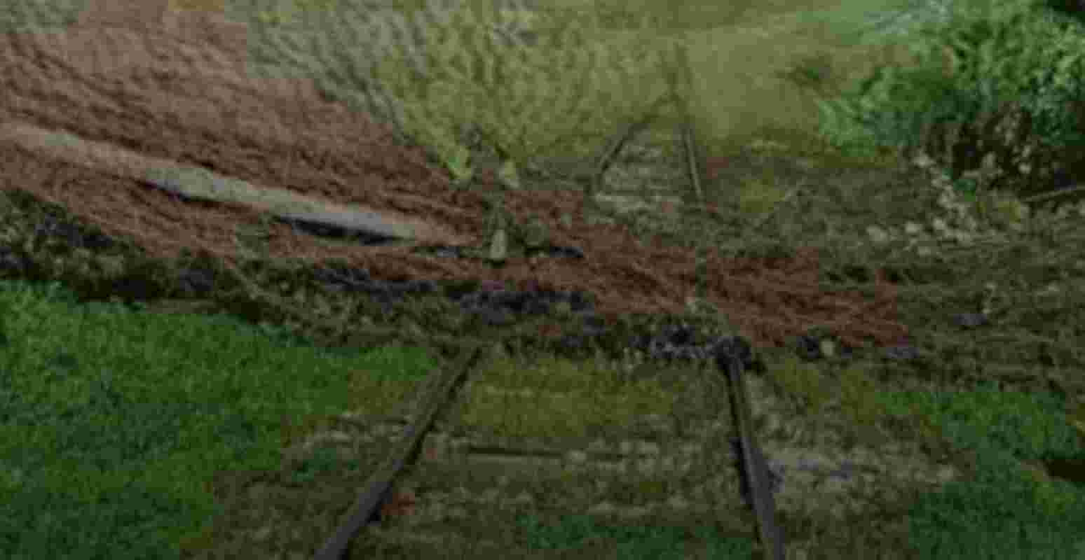 Προαστιακός Πάτρας, πτώση δένδρου, σιδηροδρομική γραμμή, Πειραϊκή Πατραϊκή, διακοπή δρομολογίων, γερανός, προβλήματα Προαστιακού, δυνατός άνεμος, καθυστέρηση τρένων, Σιδηρόδρομος Πάτρας, Patras Suburban Railway, tree fall, rail line, Piraiki Patraiki, service disruption, crane, railway problems, strong wind, train delay, Patras train