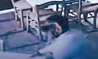 Αγυιά, Πάτρα, επεισόδιο εστίαση, βανδαλισμός μαγαζιού, πρώην ιδιοκτήτες, αστυνομία Πάτρα, οικονομικές διαφορές, αγοραπωλησία επιχείρησης, ειδήσεις Πάτρα, επεισόδιο Αγυιά, αυτοδικία, καταστροφές κατάστημα, Agyia, Patras, Patra news, restaurant incident, shop vandalism, former owners, police Patras, financial disputes, business sale dispute, local news Greece, Agyia incident,