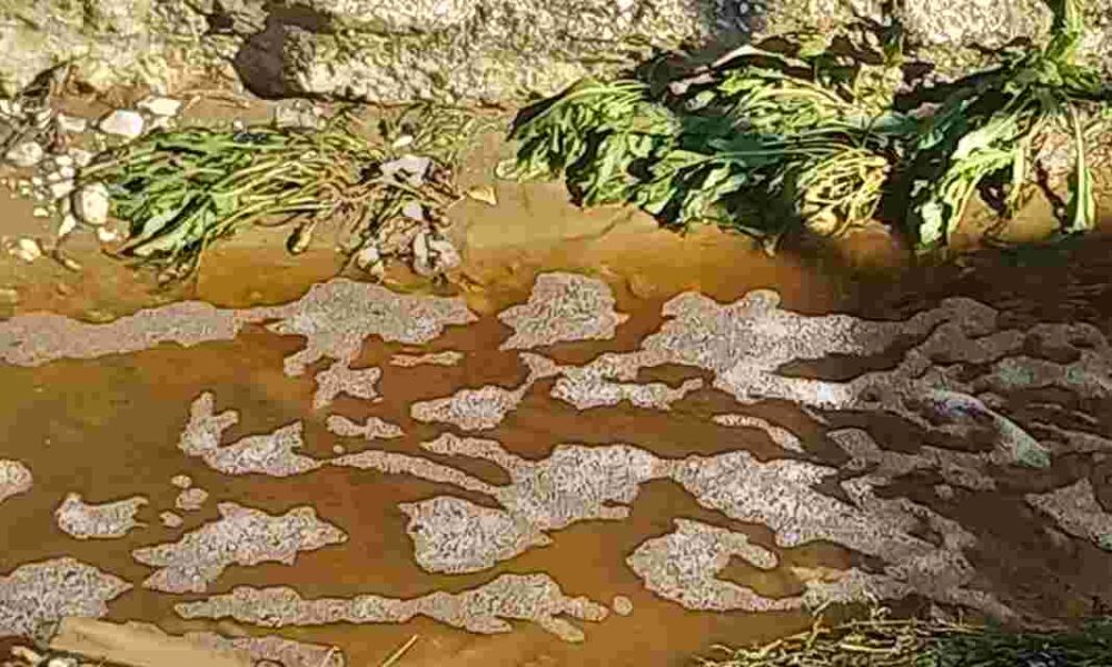 ΧΥΤΑ Ξερόλακκας, Πάτρα, περιβαλλοντική μόλυνση, διαρροή λυμάτων, δημόσια υγεία, περιβαλλοντικό έγκλημα, στραγγίσματα, διαχείριση απορριμμάτων, κινητοποίηση πολιτών, Xerolakka landfill, Patras Greece, environmental pollution, sewage leak, waste management, public health crisis, landfill leachates, environmental crime,