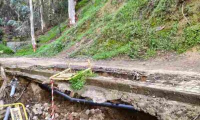 Δασύλλιο Πάτρας, Dasillio Patra, εγκατάλειψη Δασυλλίου, Dasillio neglect, επικίνδυνα μονοπάτια, dangerous trails, Πάτρα αξιοθέατα, Patras sightseeing, Δήμος Πατρέων, Patras Municipality, υποβάθμιση περιβάλλοντος, environmental degradation, συντήρηση υποδομών, infrastructure maintenance, ασφάλεια δημοτών, citizen safety, πνεύμονας πρασίνου Πάτρα, Patras green zone, δάσος Πάτρας, Patras pine forest, έργα Πάτρα, Patras construction projects, ποιότητα ζωής Πάτρα, quality of life Patras, δημόσιοι χώροι Πάτρα, public spaces Patras, φθορές Δασύλλιο, Dasillio damages, διαμαρτυρία κατοίκων Πάτρα, Patras residents protest, Δασύλλιο μονοπάτια,