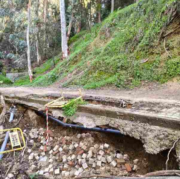 Δασύλλιο Πάτρας, Dasillio Patra, εγκατάλειψη Δασυλλίου, Dasillio neglect, επικίνδυνα μονοπάτια, dangerous trails, Πάτρα αξιοθέατα, Patras sightseeing, Δήμος Πατρέων, Patras Municipality, υποβάθμιση περιβάλλοντος, environmental degradation, συντήρηση υποδομών, infrastructure maintenance, ασφάλεια δημοτών, citizen safety, πνεύμονας πρασίνου Πάτρα, Patras green zone, δάσος Πάτρας, Patras pine forest, έργα Πάτρα, Patras construction projects, ποιότητα ζωής Πάτρα, quality of life Patras, δημόσιοι χώροι Πάτρα, public spaces Patras, φθορές Δασύλλιο, Dasillio damages, διαμαρτυρία κατοίκων Πάτρα, Patras residents protest, Δασύλλιο μονοπάτια,