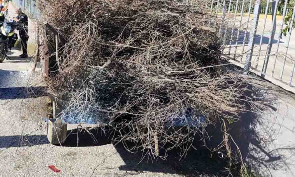 Μιντιλόγλι, Πάτρα, τροχαίο ατύχημα, τρακτέρ, σχολείο Μιντιλόγλι, αστυνομία, περιπολικό, ΕΚΑΒ, βλάβη φρένων, ειδήσεις Πάτρα, τοπικά νέα, παραλίγο τραγωδία, ατύχημα με τρακτέρ, ασφάλεια σχολείων, Mintilogli, Patras, road accident, tractor crash, school safety, brakes failure, police car collision, EKAB, Patras news, local news Greece, tractor accident Patras, school entrance accident, near miss, traffic newsΜιντιλόγλι, Πάτρα, τροχαίο ατύχημα, τρακτέρ, σχολείο Μιντιλόγλι, αστυνομία, περιπολικό, ΕΚΑΒ, βλάβη φρένων, ειδήσεις Πάτρα, τοπικά νέα, παραλίγο τραγωδία, ατύχημα με τρακτέρ, ασφάλεια σχολείων, Mintilogli, Patras, road accident, tractor crash, school safety, brakes failure, police car collision, EKAB, Patras news, local news Greece, tractor accident Patras, school entrance accident, near miss, traffic news