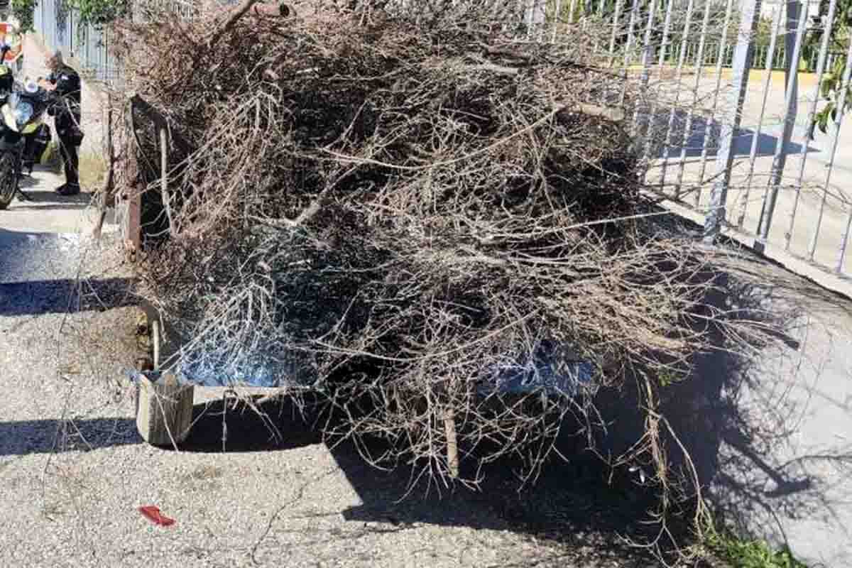 Μιντιλόγλι, Πάτρα, τροχαίο ατύχημα, τρακτέρ, σχολείο Μιντιλόγλι, αστυνομία, περιπολικό, ΕΚΑΒ, βλάβη φρένων, ειδήσεις Πάτρα, τοπικά νέα, παραλίγο τραγωδία, ατύχημα με τρακτέρ, ασφάλεια σχολείων, Mintilogli, Patras, road accident, tractor crash, school safety, brakes failure, police car collision, EKAB, Patras news, local news Greece, tractor accident Patras, school entrance accident, near miss, traffic newsΜιντιλόγλι, Πάτρα, τροχαίο ατύχημα, τρακτέρ, σχολείο Μιντιλόγλι, αστυνομία, περιπολικό, ΕΚΑΒ, βλάβη φρένων, ειδήσεις Πάτρα, τοπικά νέα, παραλίγο τραγωδία, ατύχημα με τρακτέρ, ασφάλεια σχολείων, Mintilogli, Patras, road accident, tractor crash, school safety, brakes failure, police car collision, EKAB, Patras news, local news Greece, tractor accident Patras, school entrance accident, near miss, traffic news
