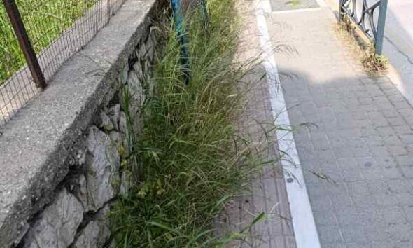 Αγγλικανική Εκκλησία, Anglican Church, Anglikaniki Ekklisia, Αντιδήμαρχος Πρασίνου, Deputy Mayor of Greenery, Antidimarhos Prasinou, αγριόχορτα πόλη, wild grass city, agriohorta poli, συντήρηση μνημείων, monument maintenance, sintirisi mnimion, εγκατάλειψη μνημείων, monument neglect, egkataleipsi mnimion, αισθητική πόλης, city aesthetics, aisthitiki polis, καθαριότητα δήμου, municipality cleaning, kathariotita dimou, δημόσιος χώρος, public space, dimosios horos, πράσινο στην πόλη, urban greenery, prasino stin poli, πολιτιστική κληρονομιά, cultural heritage, politistiki klironomia,