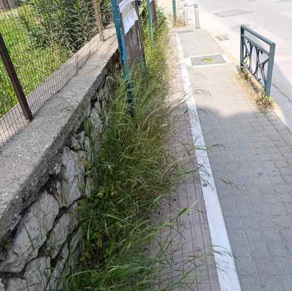 Αγγλικανική Εκκλησία, Anglican Church, Anglikaniki Ekklisia, Αντιδήμαρχος Πρασίνου, Deputy Mayor of Greenery, Antidimarhos Prasinou, αγριόχορτα πόλη, wild grass city, agriohorta poli, συντήρηση μνημείων, monument maintenance, sintirisi mnimion, εγκατάλειψη μνημείων, monument neglect, egkataleipsi mnimion, αισθητική πόλης, city aesthetics, aisthitiki polis, καθαριότητα δήμου, municipality cleaning, kathariotita dimou, δημόσιος χώρος, public space, dimosios horos, πράσινο στην πόλη, urban greenery, prasino stin poli, πολιτιστική κληρονομιά, cultural heritage, politistiki klironomia,