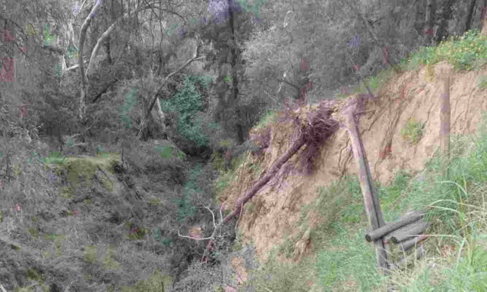 Δασύλλιο Πατρών, Πάτρα, εγκατάλειψη Δασυλλίου, υποδομές Πάτρας, κατολισθήσεις, πνεύμονας πρασίνου, Δήμος Πατρέων, αναβάθμιση Δασυλλίου, επικίνδυνα δέντρα, έργα ανάπλασης, περιβαλλοντικά προβλήματα, Dasillio Patras, Patra, Patras, Dasilio Patron, abandonment, Patras infrastructure, landslides risk, green lung Patras, Municipality of Patras, urban forest, environmental issues, renovation projects, dasillio patron, dasilio patras, katolisthiseis, upodomes patras, dimos patreon, anaplasi dasilliou, prasino patra