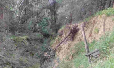 Δασύλλιο Πατρών, Πάτρα, εγκατάλειψη Δασυλλίου, υποδομές Πάτρας, κατολισθήσεις, πνεύμονας πρασίνου, Δήμος Πατρέων, αναβάθμιση Δασυλλίου, επικίνδυνα δέντρα, έργα ανάπλασης, περιβαλλοντικά προβλήματα, Dasillio Patras, Patra, Patras, Dasilio Patron, abandonment, Patras infrastructure, landslides risk, green lung Patras, Municipality of Patras, urban forest, environmental issues, renovation projects, dasillio patron, dasilio patras, katolisthiseis, upodomes patras, dimos patreon, anaplasi dasilliou, prasino patra