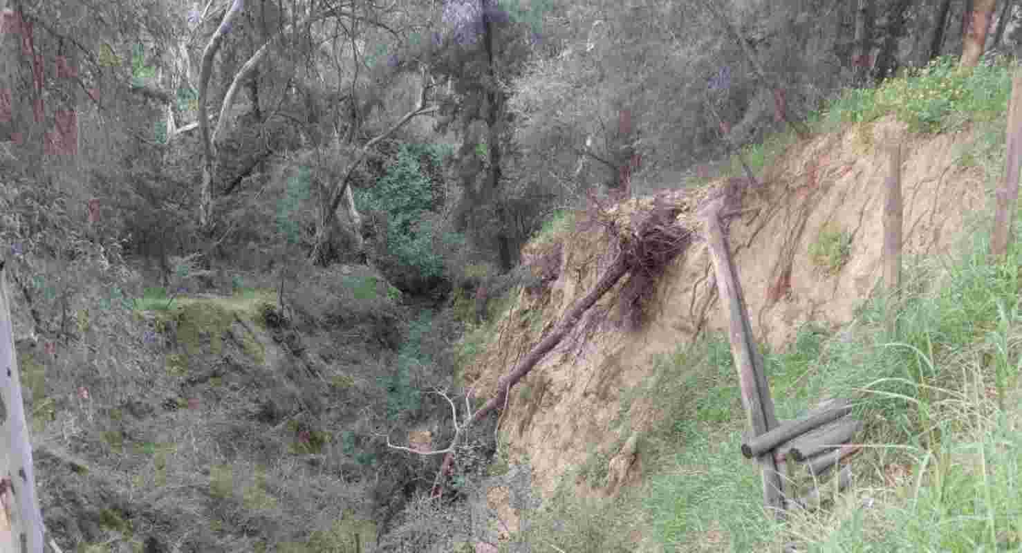 Δασύλλιο Πατρών, Πάτρα, εγκατάλειψη Δασυλλίου, υποδομές Πάτρας, κατολισθήσεις, πνεύμονας πρασίνου, Δήμος Πατρέων, αναβάθμιση Δασυλλίου, επικίνδυνα δέντρα, έργα ανάπλασης, περιβαλλοντικά προβλήματα, Dasillio Patras, Patra, Patras, Dasilio Patron, abandonment, Patras infrastructure, landslides risk, green lung Patras, Municipality of Patras, urban forest, environmental issues, renovation projects, dasillio patron, dasilio patras, katolisthiseis, upodomes patras, dimos patreon, anaplasi dasilliou, prasino patra