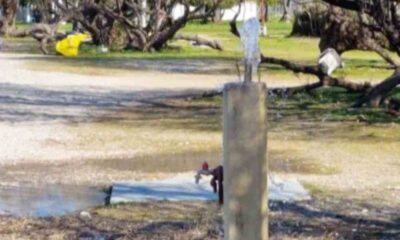 Πλαζ Πάτρας, Patras Plage, εγκατάλειψη, neglect, σπατάλη νερού, water waste, Δήμος Πατρέων, Municipality of Patras, έλος Αγυιάς, Agyia Marsh, βανδαλισμοί, vandalism, καταγγελία, complaint, δημόσια υγεία, public health, απολύμανση, disinfection, παρατηρητήριο, watchtower, προβλήματα Πάτρα, Patras news, τοπικές ειδήσεις, local news Greece, παραλία Πάτρας, Patras beach.