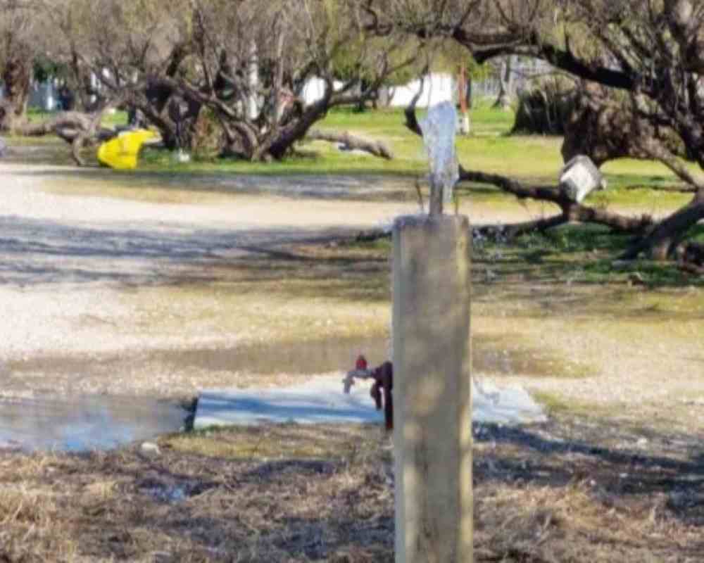 Πλαζ Πάτρας, Patras Plage, εγκατάλειψη, neglect, σπατάλη νερού, water waste, Δήμος Πατρέων, Municipality of Patras, έλος Αγυιάς, Agyia Marsh, βανδαλισμοί, vandalism, καταγγελία, complaint, δημόσια υγεία, public health, απολύμανση, disinfection, παρατηρητήριο, watchtower, προβλήματα Πάτρα, Patras news, τοπικές ειδήσεις, local news Greece, παραλία Πάτρας, Patras beach.
