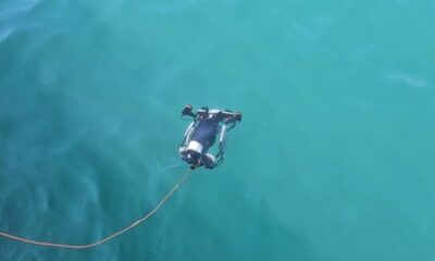 υποβρύχιο drone, Περιφέρεια Δυτικής Ελλάδος, Φωκίων Ζαΐμης, COASTRUST, Interreg Euro-MED, Λιμάνι Πάτρας, ΟΛΠΑ, περιβαλλοντική παρακολούθηση, Πολιτική Προστασία, χαρτογράφηση βυθού, ποιότητα υδάτων, θαλάσσιο οικοσύστημα, καινοτομία, έξυπνες μηχανές, Πάτρα, Αχαΐα, διαχείριση ακτών, underwater drone, ROV, Western Greece Region, Phokion Zaimis, Mediterranean coasts, marine monitoring, seabed mapping, water quality, maritime security, coastal management, environmental research, Patras Port, innovation, technology,