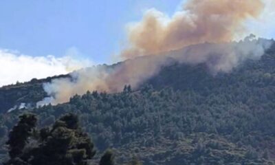 φωτιά Ακράτα, πυρκαγιά Άμπελος, Πυροσβεστική Ακράτας, δασική πυρκαγιά, Ποροβίτσα Ακράτας, φωτιά τώρα, ειδήσεις Αχαΐα, fire Akrata, forest fire Greece, Ampelos Akrata, Porovitsa fire, Peloponnese fire, wildfire Greece, news Peloponnese, fotia Akrata, pyrkagia Ampelos, fotia tora, Akrata news, Achaia fire, Akrata wildfire,