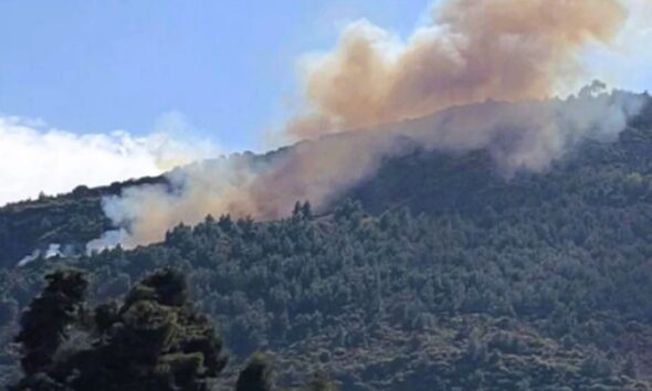 φωτιά Ακράτα, πυρκαγιά Άμπελος, Πυροσβεστική Ακράτας, δασική πυρκαγιά, Ποροβίτσα Ακράτας, φωτιά τώρα, ειδήσεις Αχαΐα, fire Akrata, forest fire Greece, Ampelos Akrata, Porovitsa fire, Peloponnese fire, wildfire Greece, news Peloponnese, fotia Akrata, pyrkagia Ampelos, fotia tora, Akrata news, Achaia fire, Akrata wildfire,