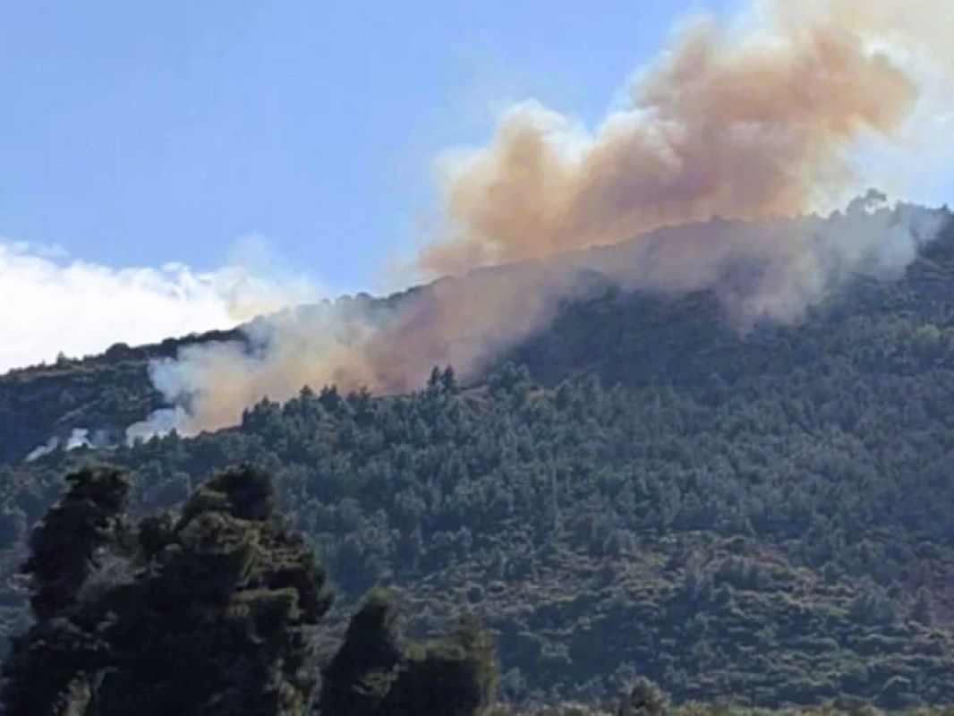 φωτιά Ακράτα, πυρκαγιά Άμπελος, Πυροσβεστική Ακράτας, δασική πυρκαγιά, Ποροβίτσα Ακράτας, φωτιά τώρα, ειδήσεις Αχαΐα, fire Akrata, forest fire Greece, Ampelos Akrata, Porovitsa fire, Peloponnese fire, wildfire Greece, news Peloponnese, fotia Akrata, pyrkagia Ampelos, fotia tora, Akrata news, Achaia fire, Akrata wildfire,