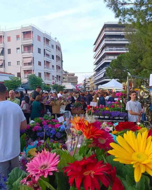 Πρωτομαγιά Πάτρα, Δήμος Πατρέων, εκδηλώσεις Πάτρα, Ανθεστήρια, Υψηλά Αλώνια, Πλατεία Ομονοίας, παραδοσιακοί χοροί, λαϊκό γλέντι, Λύσανδρος Παναγόπουλος, Τριών Ναυάρχων, λουλούδια, 1η Μαΐου, Protomagia Patra, Patras events, May Day Greece, Flower Festival Patras, traditional Greek dance, Psila Alonia, Omonia Square, Ly sandros Panagopoulos, Trion Navarchon, Greek tradition, Protomagia Patra, Dimos Patreon, ekdiloseis Patra, Anthestiria, Ypsila Alonia, Plateia Omonoias, paradosiakoi xoroi, laiko glenti, Lysandros Panagopoulos, Trion Navarxon, louloudia,