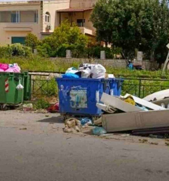 Πάτρα, Αγυιά, αρουραίοι, τρωκτικά, λεπτοσπείρωση, δημόσια υγεία, κάδοι απορριμμάτων, καθαριότητα δήμου, καταγγελίες, κίνδυνος μόλυνσης, Patras, Patra, Agyia, rats, rodents, leptospirosis, public health, garbage bins, waste management, complaints, health risk, aroiraioi, troktika, leptospeirosi, dimosia ygeia, kadoi, skoupidia, Agia,