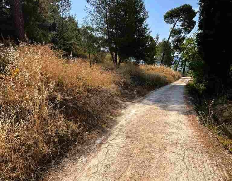 Γηροκομείο Πατρών, καθαρισμός χόρτων, καταγγελία κατοίκων, κίνδυνος πυρκαγιάς, Νοσημάτων Θώρακος Πάτρα, αντιπυρική περίοδος, dete gr, φωτιά Πάτρα, ξερά χόρτα, Girokomeio Patron, katharismos xorton, kataggelia katoikon, kindynos pyrkagias, Nosimaton Thorakos Patra, antipyriki periodos, fotia Patra, xera xorta, Patras wildfire risk, Patras brush clearance, Girokomeio Patras fire, residents complaint Patras,