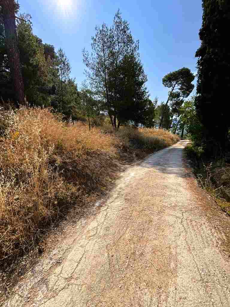Γηροκομείο Πατρών, καθαρισμός χόρτων, καταγγελία κατοίκων, κίνδυνος πυρκαγιάς, Νοσημάτων Θώρακος Πάτρα, αντιπυρική περίοδος, dete gr, φωτιά Πάτρα, ξερά χόρτα, Girokomeio Patron, katharismos xorton, kataggelia katoikon, kindynos pyrkagias, Nosimaton Thorakos Patra, antipyriki periodos, fotia Patra, xera xorta, Patras wildfire risk, Patras brush clearance, Girokomeio Patras fire, residents complaint Patras,