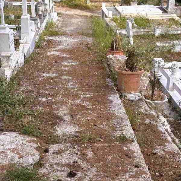 νεκροταφεία Πάτρας, Α’ Νεκροταφείο Πάτρας, Β’ Νεκροταφείο Πάτρας, καθαριότητα κοιμητηρίων, εγκατάλειψη νεκροταφεία, παράπονα πολιτών Πάτρα, ξερά χόρτα κίνδυνος πυρκαγιάς, σκουπίδια νεκροταφεία, Δήμος Πατρέων καθαριότητα, εφημερίδα Νεολόγος ρεπορτάζ, Patras cemeteries, Patras first cemetery, Patras second cemetery, cemetery maintenance Greece, trash in cemeteries, fire hazard dry grass, Patras municipality complaints, Neologos newspaper Patras, nekrotafeia patras, a nekrotafeio patras, v nekrotafeio patras, kathariotita koimitirion, egkataleipsi nekrotafeia, skoupidia nekrotafeia, dimos patreon, neologos patra,