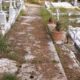 νεκροταφεία Πάτρας, Α’ Νεκροταφείο Πάτρας, Β’ Νεκροταφείο Πάτρας, καθαριότητα κοιμητηρίων, εγκατάλειψη νεκροταφεία, παράπονα πολιτών Πάτρα, ξερά χόρτα κίνδυνος πυρκαγιάς, σκουπίδια νεκροταφεία, Δήμος Πατρέων καθαριότητα, εφημερίδα Νεολόγος ρεπορτάζ, Patras cemeteries, Patras first cemetery, Patras second cemetery, cemetery maintenance Greece, trash in cemeteries, fire hazard dry grass, Patras municipality complaints, Neologos newspaper Patras, nekrotafeia patras, a nekrotafeio patras, v nekrotafeio patras, kathariotita koimitirion, egkataleipsi nekrotafeia, skoupidia nekrotafeia, dimos patreon, neologos patra,