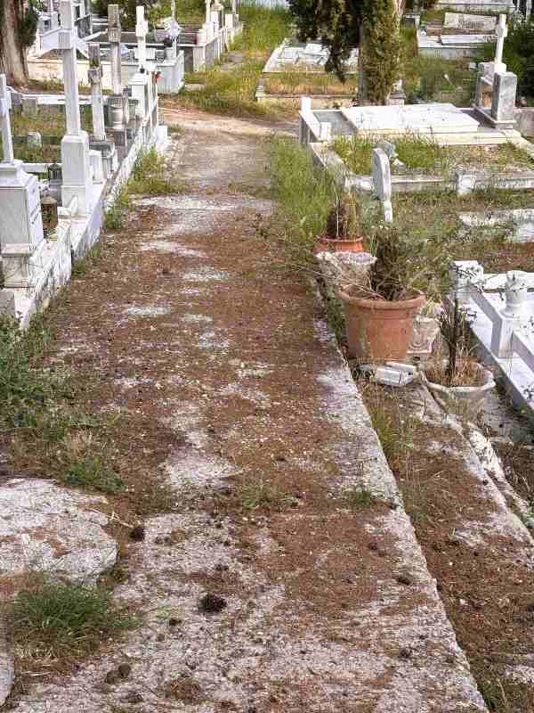 νεκροταφεία Πάτρας, Α’ Νεκροταφείο Πάτρας, Β’ Νεκροταφείο Πάτρας, καθαριότητα κοιμητηρίων, εγκατάλειψη νεκροταφεία, παράπονα πολιτών Πάτρα, ξερά χόρτα κίνδυνος πυρκαγιάς, σκουπίδια νεκροταφεία, Δήμος Πατρέων καθαριότητα, εφημερίδα Νεολόγος ρεπορτάζ, Patras cemeteries, Patras first cemetery, Patras second cemetery, cemetery maintenance Greece, trash in cemeteries, fire hazard dry grass, Patras municipality complaints, Neologos newspaper Patras, nekrotafeia patras, a nekrotafeio patras, v nekrotafeio patras, kathariotita koimitirion, egkataleipsi nekrotafeia, skoupidia nekrotafeia, dimos patreon, neologos patra,