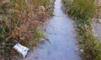 Πάτρα, Patras, πεζοδρόμια, pavements, sidewalks, οδός Βενιζέλου, Venizelou street, προσβασιμότητα, accessibility, ΑμεΑ, disabled access, αστική βλάστηση, urban vegetation, προβλήματα πόλης, city problems, δήμος Πατρέων, municipality of Patras, καθαριότητα, public spaces, δημόσιοι χώροι, pezodromia, accessibility issues, Patra news, Patra news,