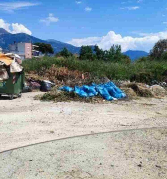 μπάζα Αρόη, ογκώδεις αντικείμενα Πάτρα, σκουπίδια Διάκου, τέρμα Λυκοχορού, καθαριότητα Δήμος Πατρέων, καταγγελία Αρόη Πάτρα, κλαδιά πεζοδρόμια, ρύπανση Πάτρα, mpaza arois, ogkodi antikeimena patra, skoupidia diakou, terma lykoxorou, kathariotita dimos patreon, kataggelia aroi patra, kladia pezodromia, rypansi patra, debris Arois Patras, bulky waste Patras Greece, garbage Diakou street, Lykochorou Patras, Patras municipality cleaning, environmental pollution Patras,