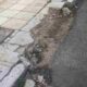 Δήμος Πατρέων, Πάτρα, Ασημάκη Φωτήλα, Ψηλά Αλώνια, πεζοδρόμιο παγίδα, επικίνδυνα πεζοδρόμια, ατύχημα Πάτρα, καταγγελία Πάτρα, κακοτεχνίες Πάτρα, ασφάλεια πεζών, ηλικιωμένοι ατύχημα, τοπικά νέα Πάτρα, Patras, Dimos Patreon, Asimaki Fotila, Psila Alonia, pezodromio, atixima Patra, kataggelia Patra, Patras news, sidewalk accident Greece, pedestrian safety Patras, dangerous sidewalks Patras,