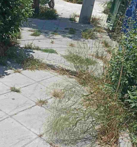 Πάτρα, Ταμπάχανα, πλατείες Πάτρα, εγκατάλειψη, καθαρισμός χόρτων, Δήμος Πατρέων, ασφάλεια παιδιών, σχολεία Πάτρα, παράπονα κατοίκων, Patras, Tabahana, Patra squares, neglect, grass cutting, Municipality of Patras, child safety, Patras schools, residents complaints, Tabaxana, plateies Patra, egkataleipsi, katharismos xorton, Dimos Patreon, asfaleia paidion, sxoleia Patra, parapona katoikon,