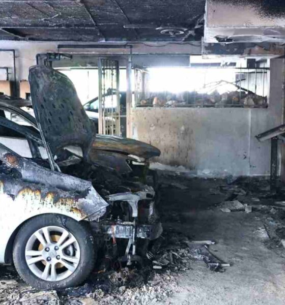 Θεσσαλονίκη, εμπρηστική επίθεση, γκαζάκια, Αντιτρομοκρατική, Αφροδίτη Νέστορα, Βάγια Νέστορα, Νέα Δημοκρατία, έκρηξη, τραγωδία, ΝΔ, Thessaloniki, arson attack, gas canisters, Antiterrorist unit, Afroditi Nestora, Vagia Nestora, New Democracy, explosion, tragedy, ND, Thessaloniki empristiki epithesi, gazakia, Antitromokratiki, Afroditi Nestora, Vagia Nestora, Nea Dimokratia, ekrixi, tragodia,