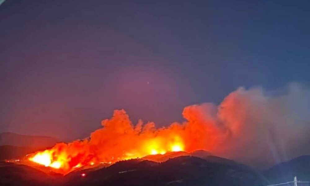 Δασική πυρκαγιά στην περιοχή Φλόκα Αχαΐας