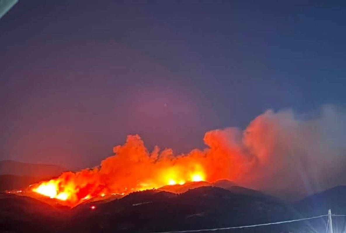 Δασική πυρκαγιά στην περιοχή Φλόκα Αχαΐας