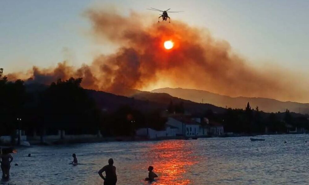 πυρκαγιά Αιγιαλεία, Νερατζιές Αιγιαλείας, φωτιά Αίγιο, Πυροσβεστική, ΕΜΟΔΕ, Δυτική Ελλάδα, έκτακτη επικαιρότητα, ελαιώνες, κατασβεση, εναέρια μέσα, Neratzies Aigialeia fire, Aigio wildfire, Greece wildfire, Greek Fire Service, EMODE, Peloponnese fire, emergency news, Aigialeia, Neratzies, Aigio, EMODE, Pyrkosia, Fotia Aigio, Pyrkosia Aigialeia, West Greece fire,