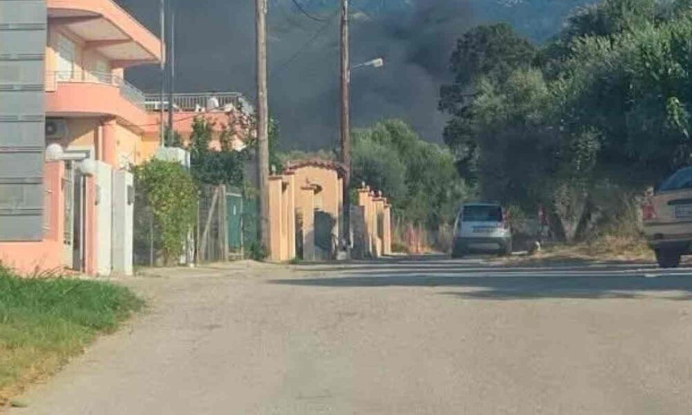 φωτιά, Πλατάνι Πατρών, Πάτρα, Πυροσβεστική, τώρα, έκτακτο, πυρκαγιά, τροχαία, κλειστοί δρόμοι, fotia, Platani Patron, Patra, pyrosvestiki, tora, ektakto, pyrkagia, troxaia, kleistoi dromoi, fire, Platani Patras, Patras, fire brigade, breaking news, wildfire, traffic closure,