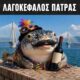 λαγοκέφαλος, λαγοκέφαλος Πάτρα, viral λαγοκέφαλος, λαγοκέφαλος trend, λαγοκέφαλος TikTok, Πάτρα, Πατρινός λαγοκέφαλος, Πατρινό Καρναβάλι, Ρίο, σκαλάκια Αγίου Νικολάου, lagokefalos, lagokefalos patra, lagokefalos trend, lagokefalos tiktok, patra, patrinos lagokefalos, patrino karnevali, rio, skalakia agiou nikolaou, pufferfish Greece, pufferfish Patras, pufferfish trend, viral pufferfish, Patras Carnival, silverstripe blaasop Greece, lagocephalus sceleratus, Patras,