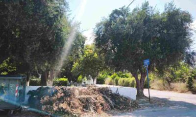 Πάτρα, οδός Ηρακλέους, κλαδιά, φωτιά, κίνδυνος πυρκαγιάς, καταυλισμός Ρομά, καθαρισμός Δήμου, Patras, Irakleous street, dry branches, fire hazard, Roma camp, municipality cleanup, Patra, odos Irakleous, k संदेश, fotia, kindynos pyrkagias, katavlismos Roma, katharismos Dimou,