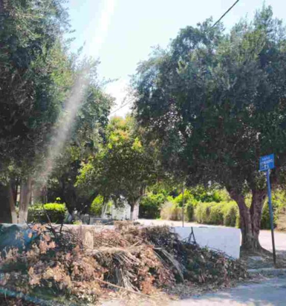 Πάτρα, οδός Ηρακλέους, κλαδιά, φωτιά, κίνδυνος πυρκαγιάς, καταυλισμός Ρομά, καθαρισμός Δήμου, Patras, Irakleous street, dry branches, fire hazard, Roma camp, municipality cleanup, Patra, odos Irakleous, k संदेश, fotia, kindynos pyrkagias, katavlismos Roma, katharismos Dimou,