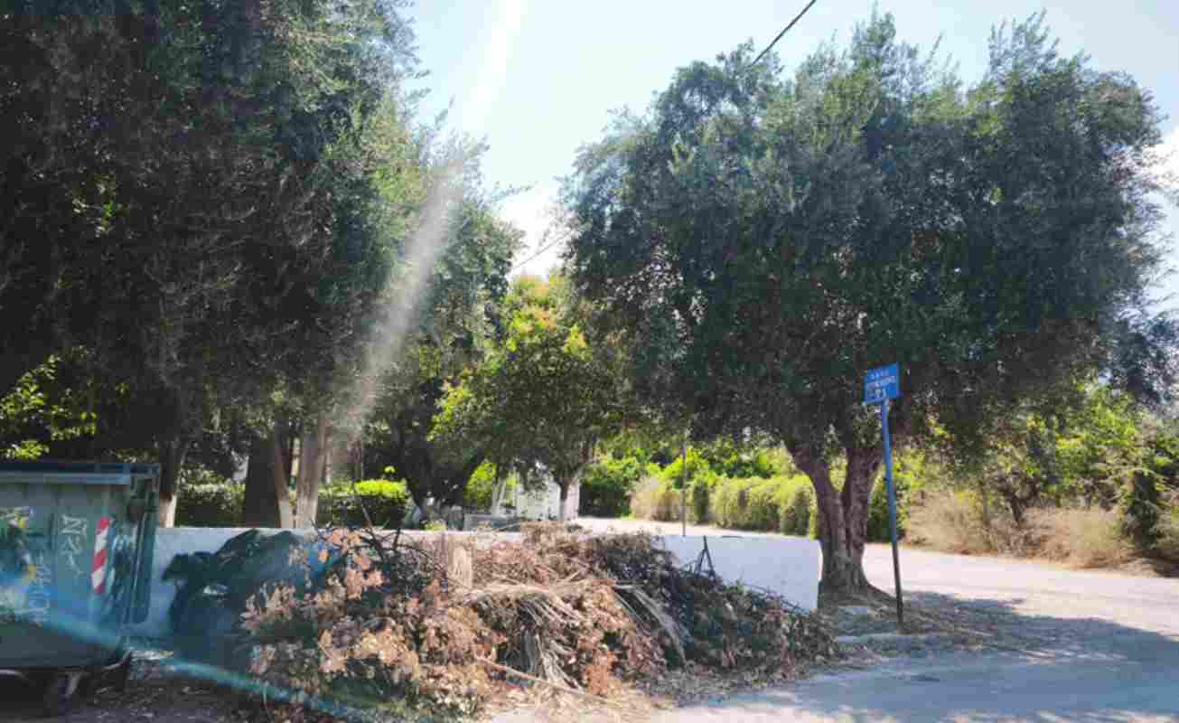 Πάτρα, οδός Ηρακλέους, κλαδιά, φωτιά, κίνδυνος πυρκαγιάς, καταυλισμός Ρομά, καθαρισμός Δήμου, Patras, Irakleous street, dry branches, fire hazard, Roma camp, municipality cleanup, Patra, odos Irakleous, k संदेश, fotia, kindynos pyrkagias, katavlismos Roma, katharismos Dimou,