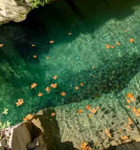 τραγωδία Ξηρόμερο, ατύχημα ράφτινγκ, Λουτρά Τρύφου, Άγιος Βάρβαρος, Αιτωλοακαρνανία, νεκρός 39χρονος, Άρτα, διάσωση 6η ΕΜΑΚ, Πυροσβεστική, 112, rafting accident Greece, Xiromero tragedy, Loutra Tryfou, Agios Varvaros, Aitoloakarnania, rafting Artas, 6th EMAK rescue, tragic accident Greece, tragodia Xiromero, atychima rafting, Loutra Tryfou, Agios Varvaros, Aitoloakarnania, nekros 39chronos, Arta, diasosi 6i EMAK, pyrosvestiki,