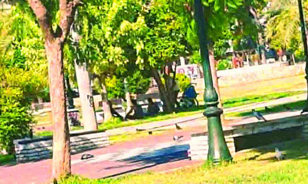 Πάτρα, Υψηλά Αλώνια, Ρομά, πλατεία, παρακμή, κάτοικοι, αντιδράσεις, καθαριότητα, Δήμος Πατρέων, Αστυνομία, Patras, Ypsila Alonia, Roma, square, decline, residents, reactions, cleanliness, Municipality of Patras, Police, Patra, Ipsila Alonia, tsigganoi, gypsies, plaza, dimos patreon, astynomia,